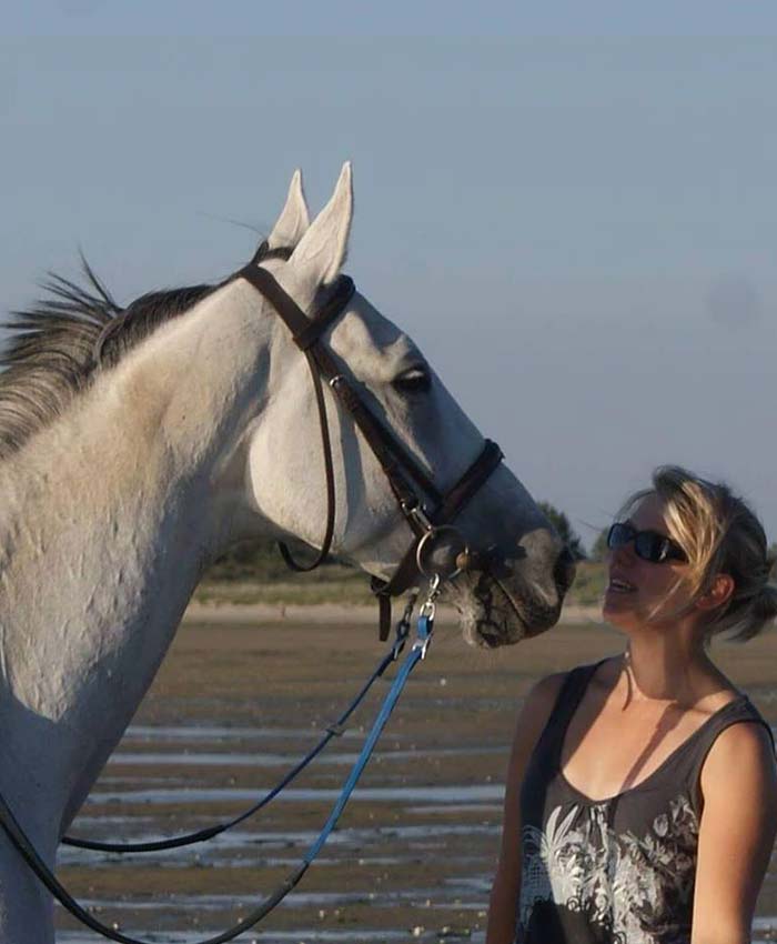 massages chevaux, massage équin Pas-de-Calais